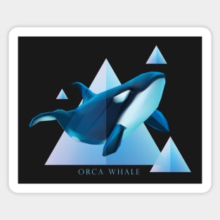 Orca Whale - Beautifully Styled Oceanic Mammal Sticker